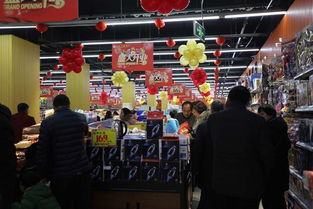 駐馬店市多樂(lè)多超市開(kāi)業(yè)慶典暨精準(zhǔn)扶貧公益活動(dòng)啟動(dòng)儀式盛大啟幕